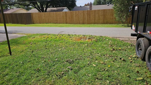 Yard after debris removal