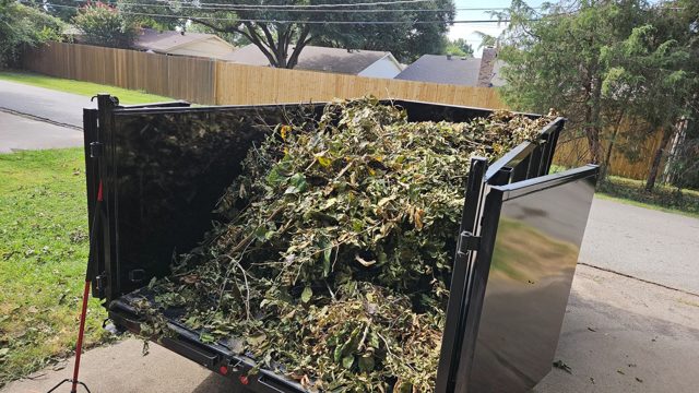 Trailer loaded with branches